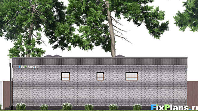 Проект одноэтажного дома F-14903 — фасад 4