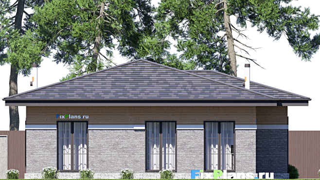 Проект одноэтажного дома F-20744 — фасад 4