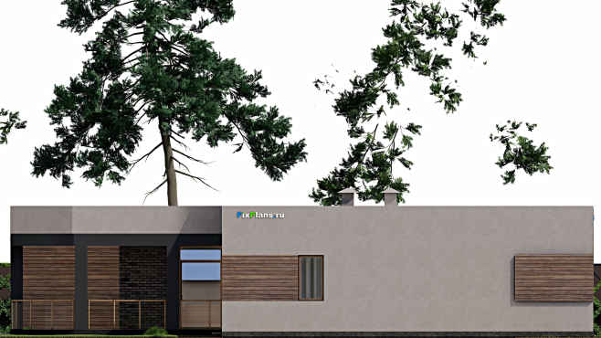 Проект одноэтажного дома F-3842 — фасад 3